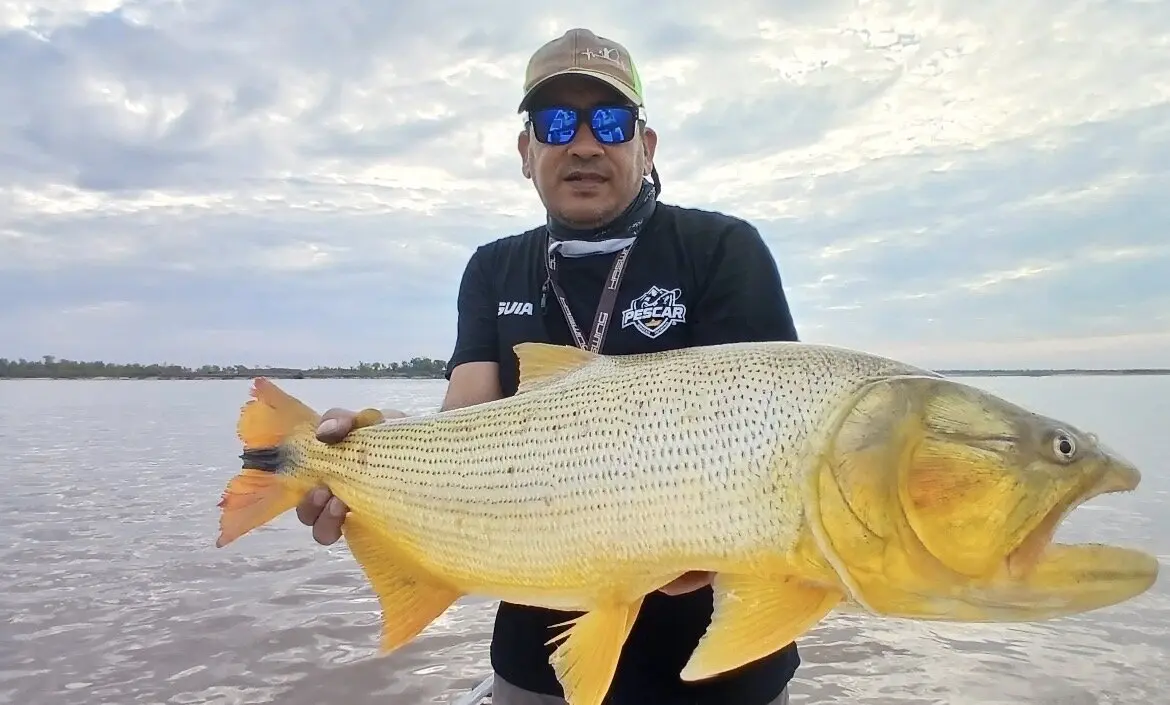 Andres Pesca