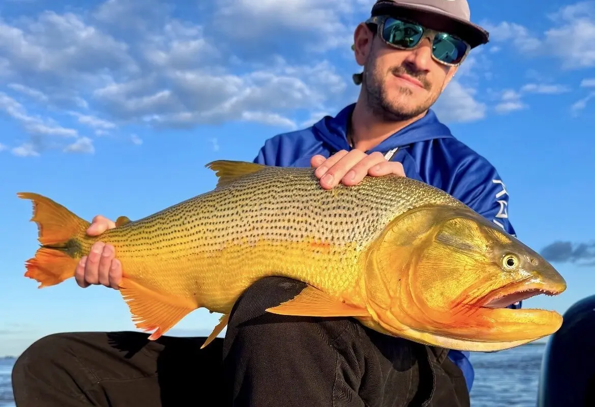Oscar Pesca
