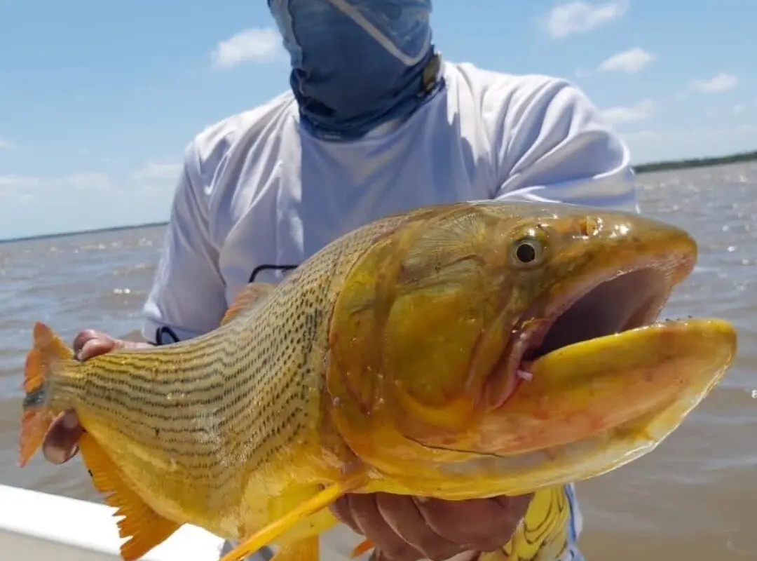 Ricardo Pesca
