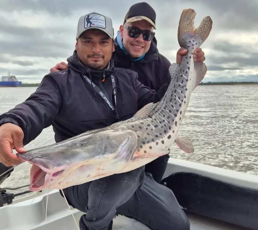 Mauri Pesca