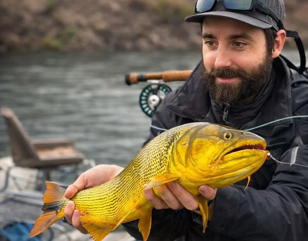 Ver perfil de Facundo Pesca