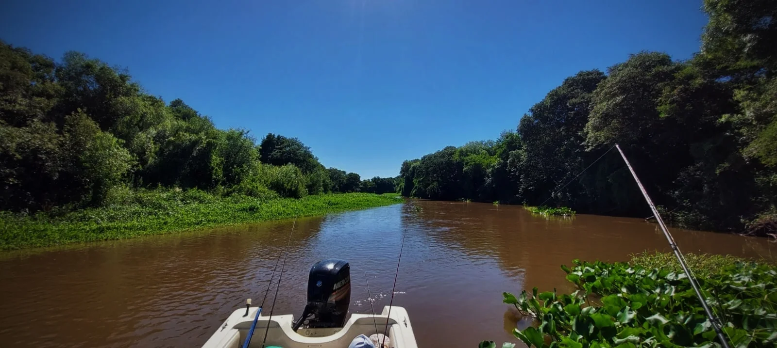Ver perfil de Rebo Pesca