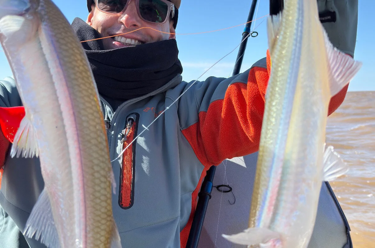 Ver perfil de Ramiro Pesca