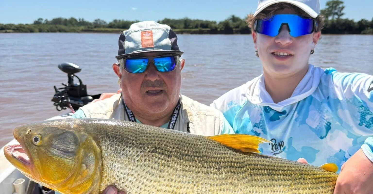 Ver perfil de Jose Alberto Pesca