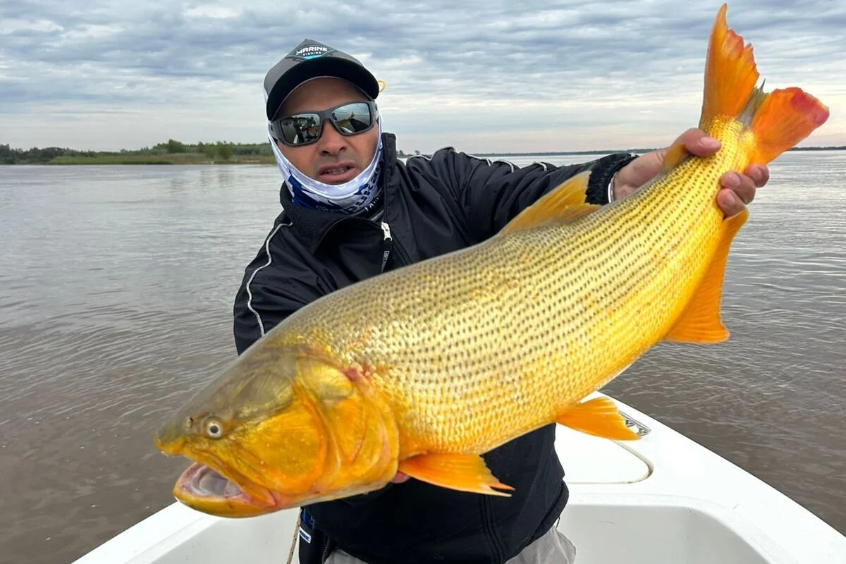 Ver perfil de Cesar Martin Pesca