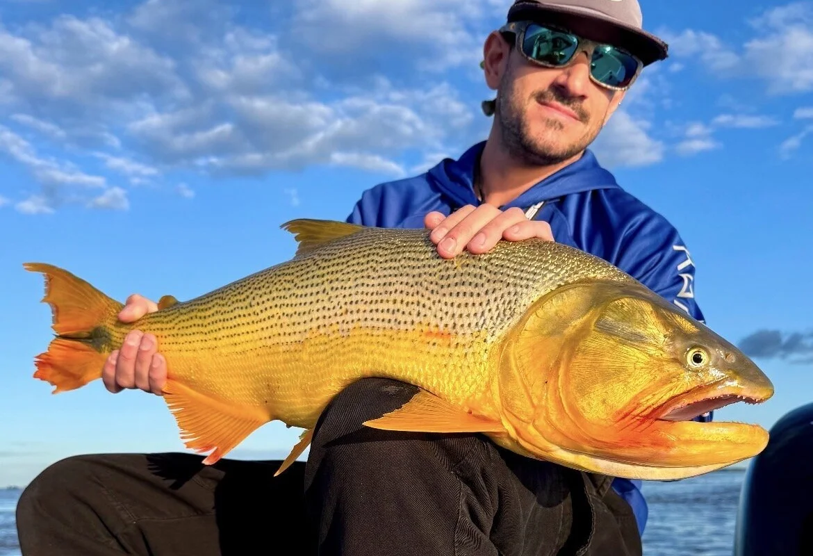 Ver perfil de Oscar Pesca