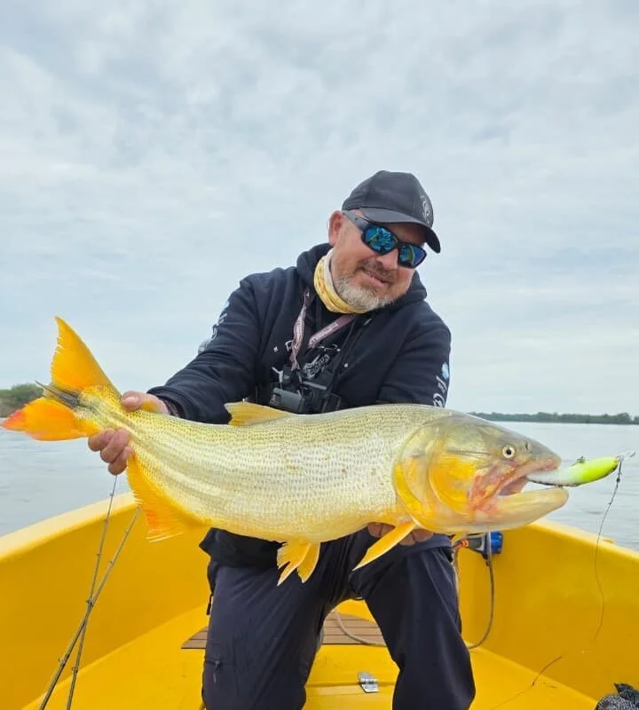 Ver perfil de Roberto Jose Pesca