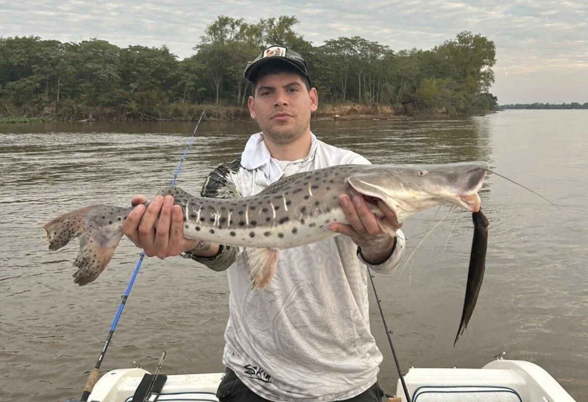 Ver perfil de Camilo Pesca