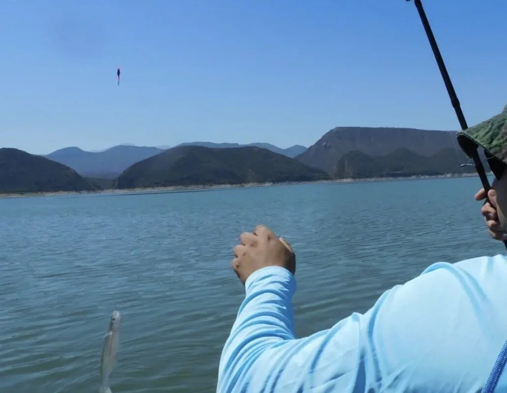 Ver perfil de Ariel Eduardo Pesca