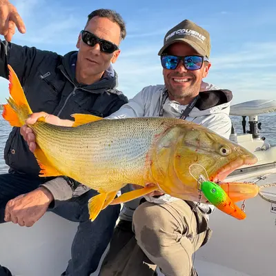 Nico Roma Pesca