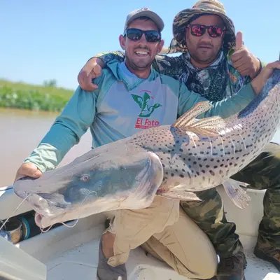 Walter Pesca