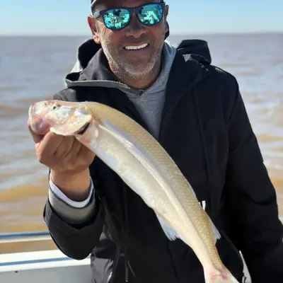 Leomas Pesca