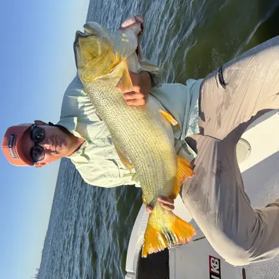 Ramiro Pesca