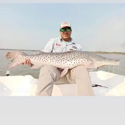Ivan Pesca