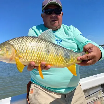 Jose Alberto Pesca