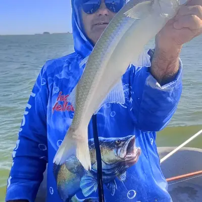 El Ruso Pesca