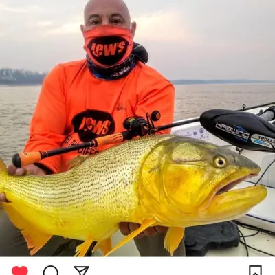 Ricardo Pesca