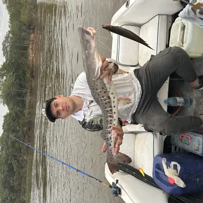 Camilo Pesca