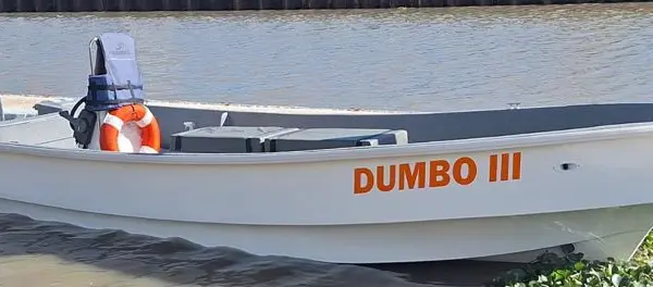 Dumbo I