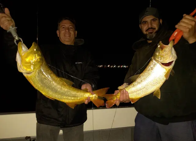 Dorado