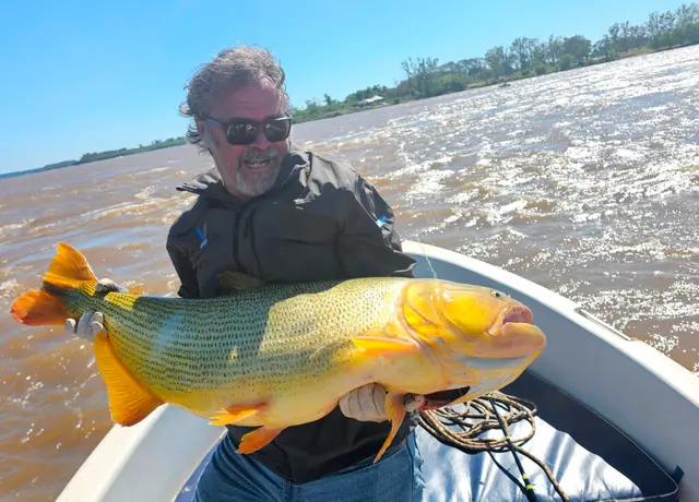 Dorado