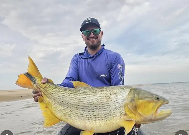 Dorado