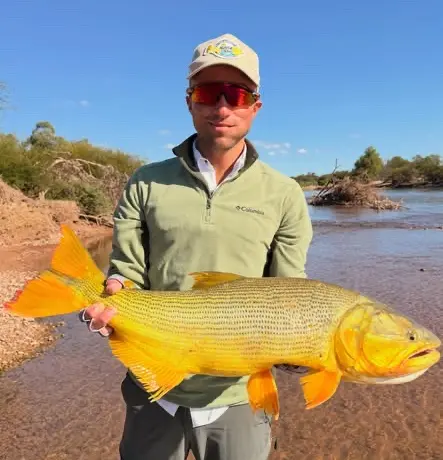 Dorado