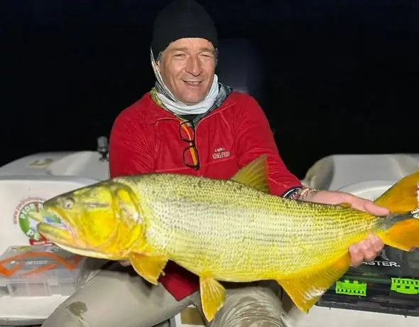 Surubí Atigrado