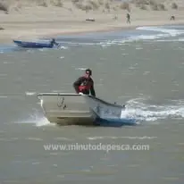 Lenguado
