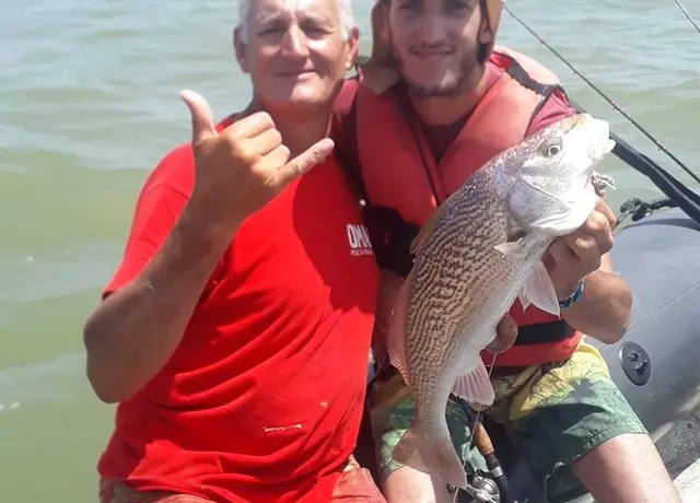 Corvina Rubia