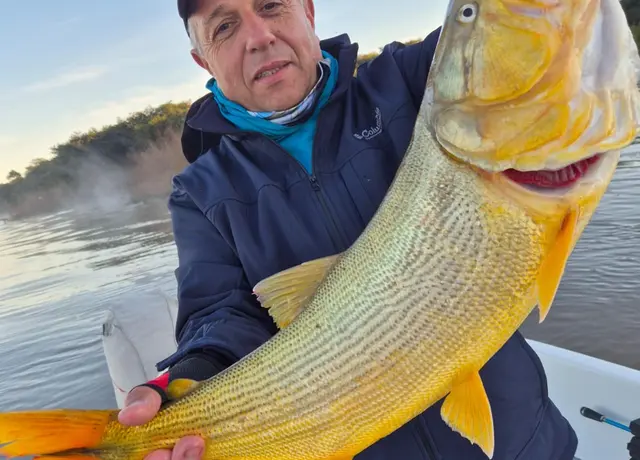 Dorado