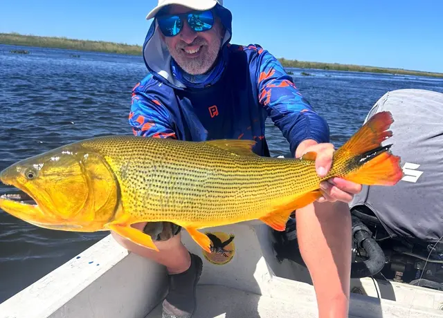 Dorado