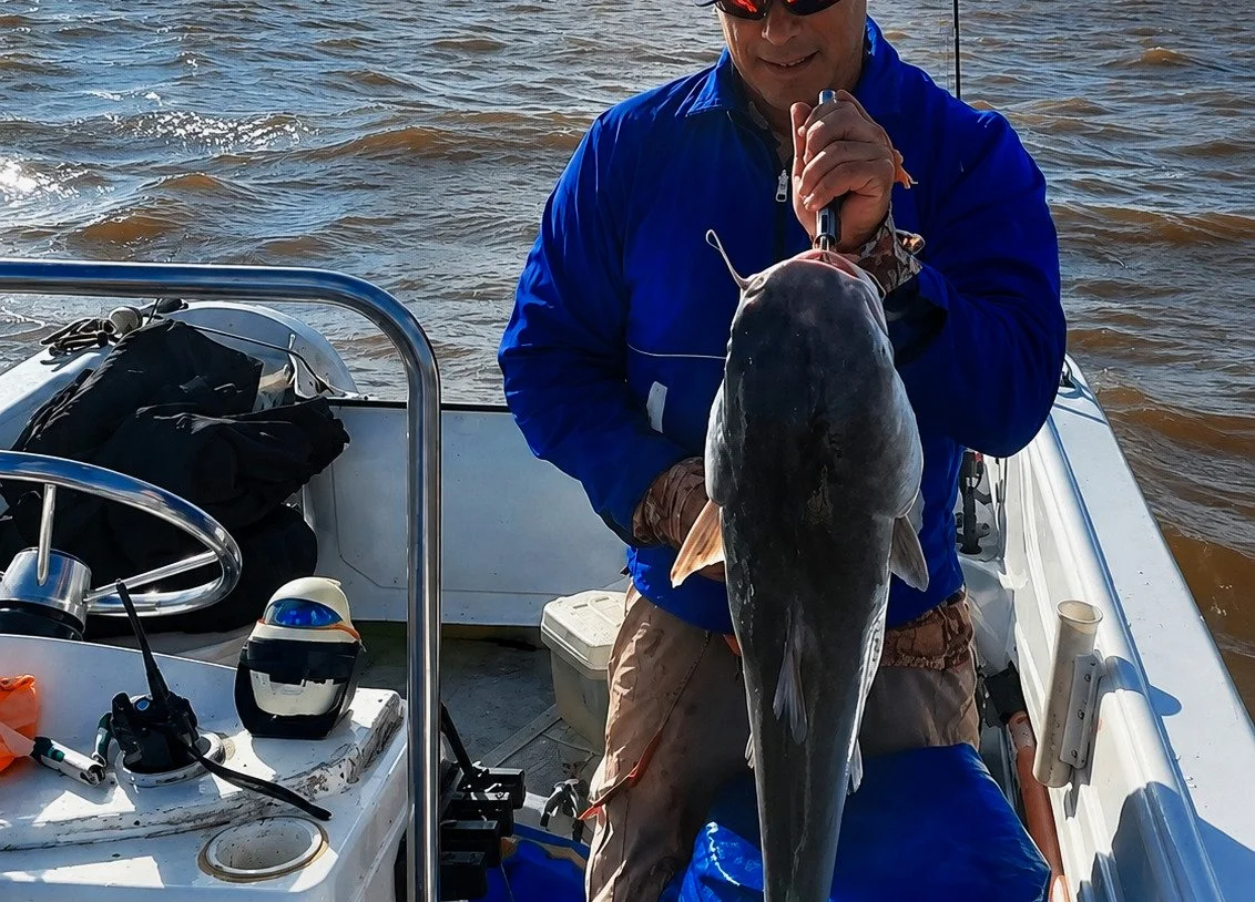 Dorado