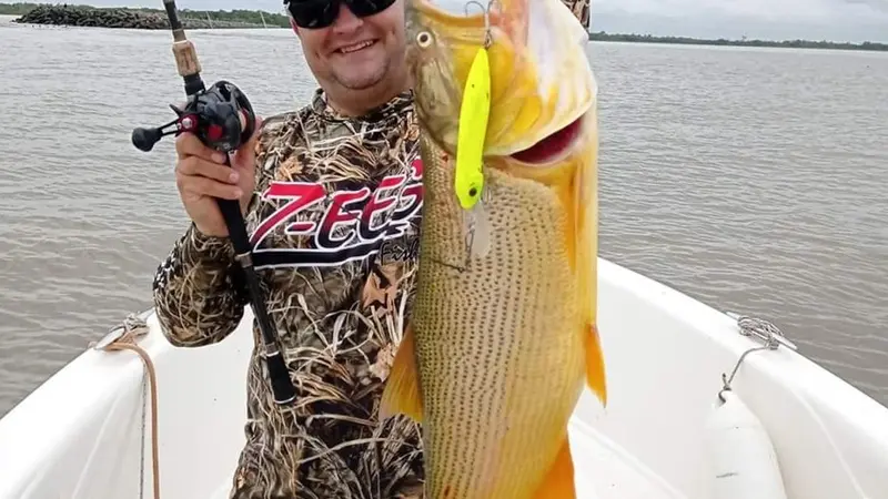 Boga