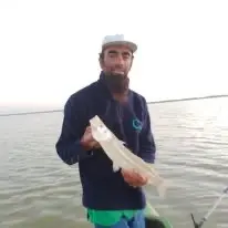 Corvina Negra