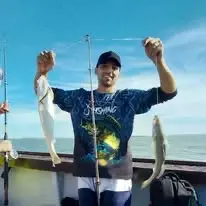 Corvina Rubia
