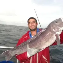 Mero