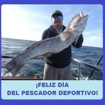 Bonito