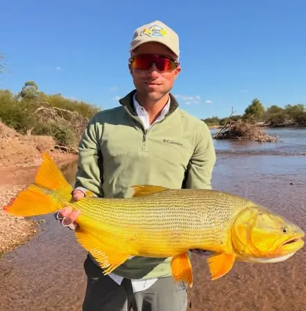 Dorado