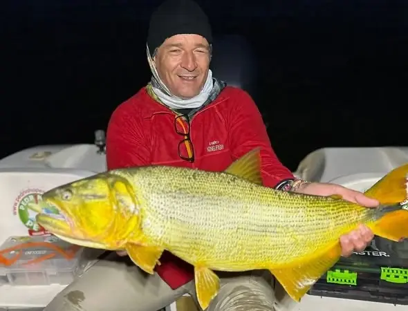 Surubí Atigrado