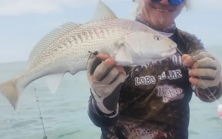 Pescadilla