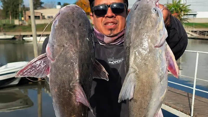 Carpa