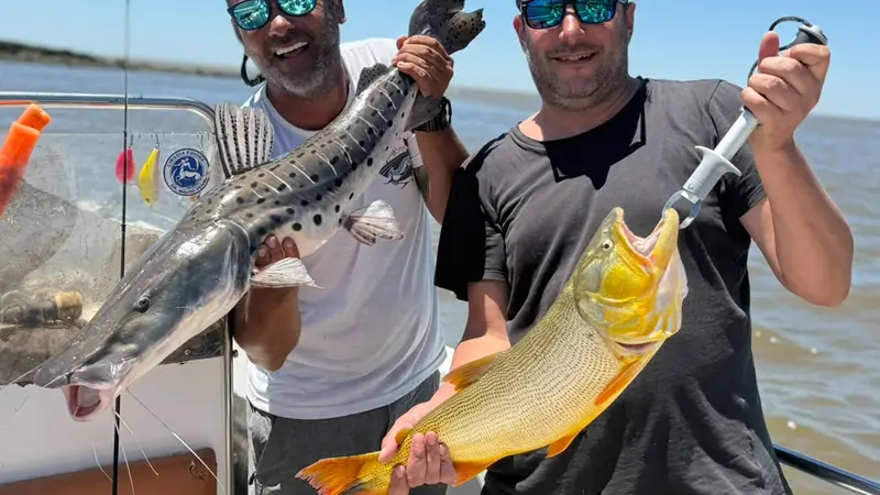 Boga