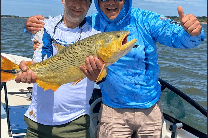 Dorado