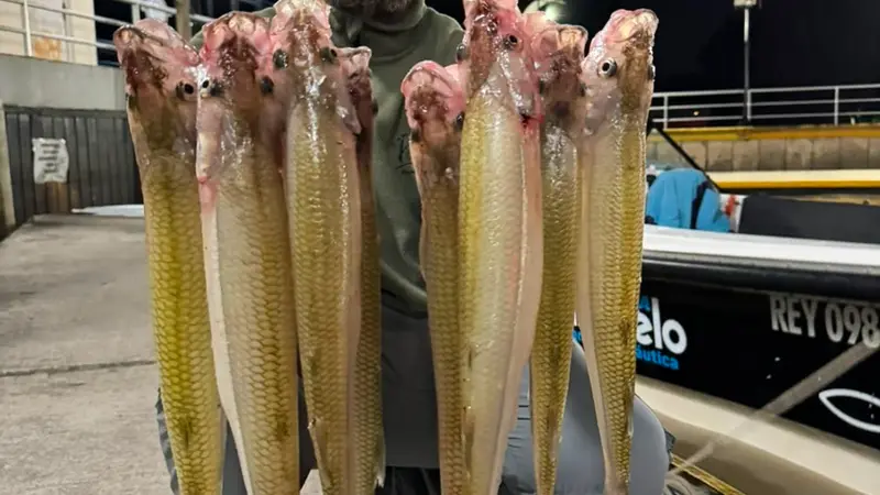 Foto 7