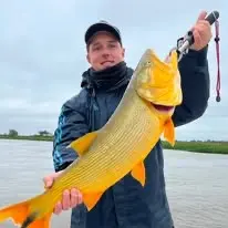 Dorado