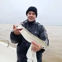 Bagre de Mar
