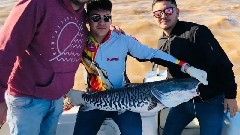 Dorado