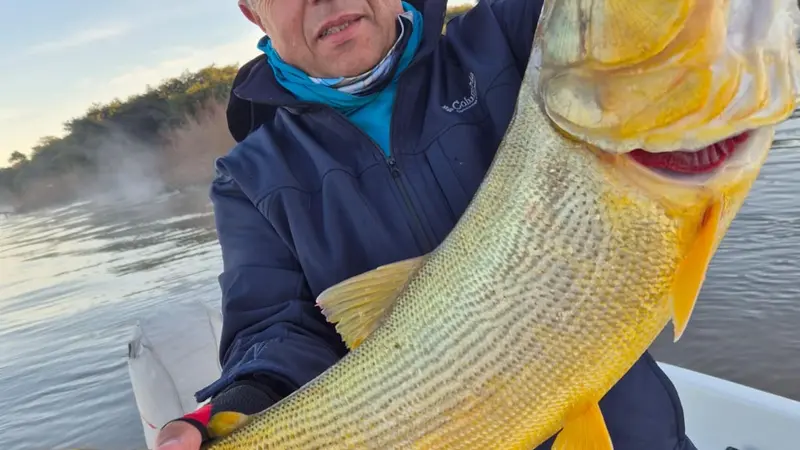 Dorado