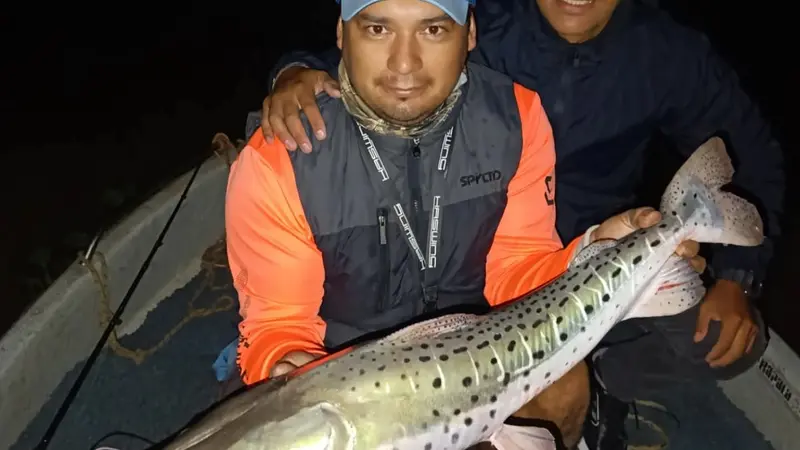 Foto 5